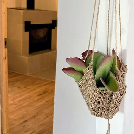 Apartament Donotrent *